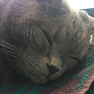 Meet your Posher, Justin